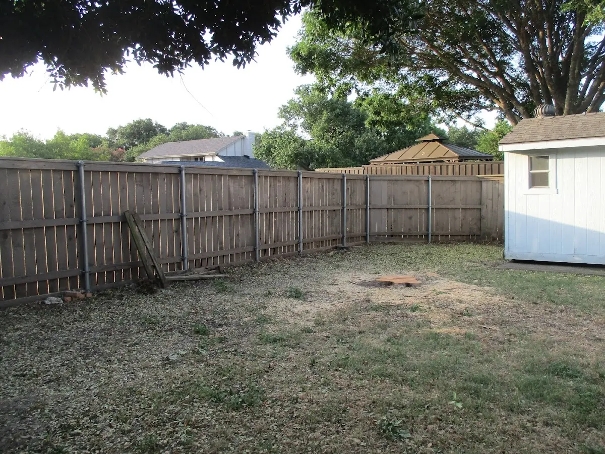 Cleared yard after professional tree removal in Maiden Rock